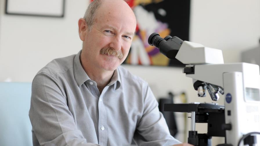 Esperan corregir patologías mentales tras “mapear” la actividad cerebral