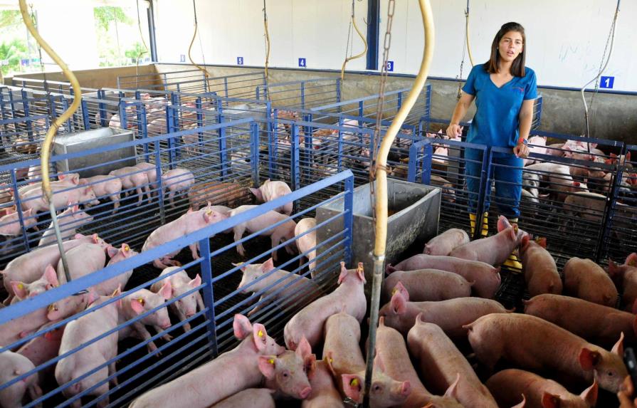 Empresa dice que garantiza calidad en producción porcina