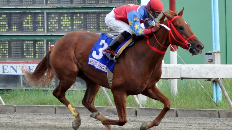 Impecable triunfa en el hipódromo V Centenario