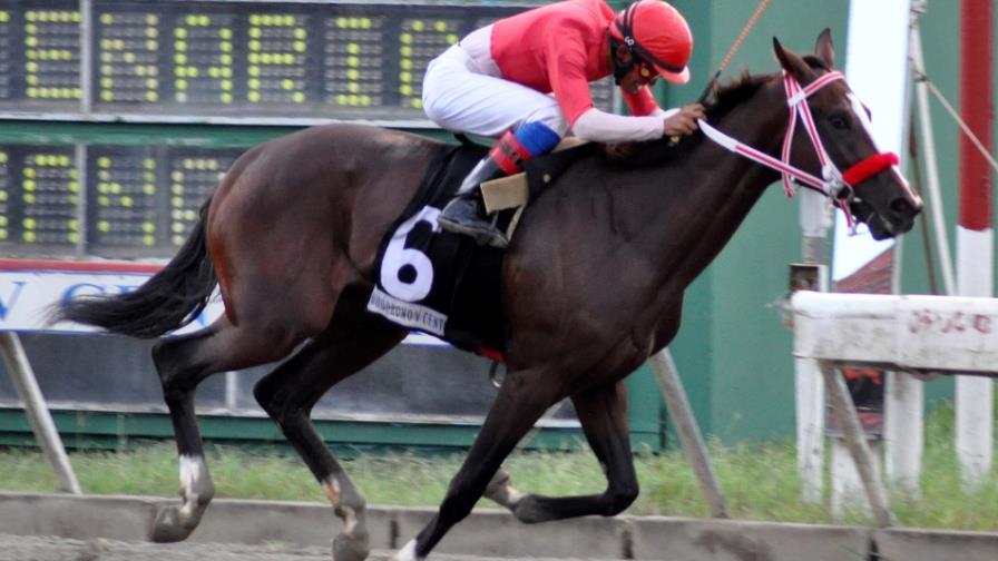 Tango Dancer gana fácil estelar en el hipódromo  V Centenario