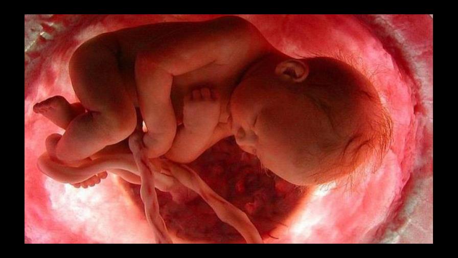 Caso en EEUU aborda cuándo un feto es considerado persona 