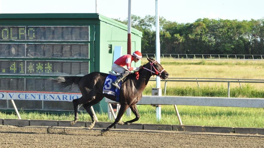 Fratello Martino gana fácil la estelar en el Hipódromo V Centenario