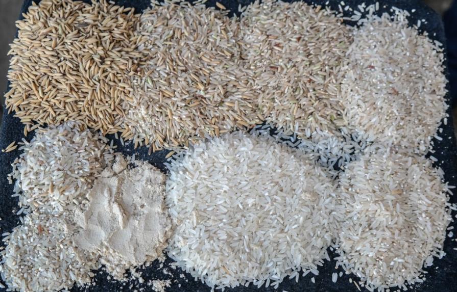 El precio del arroz se ha mantenido casi inalterable en ocho años, según las factorías
