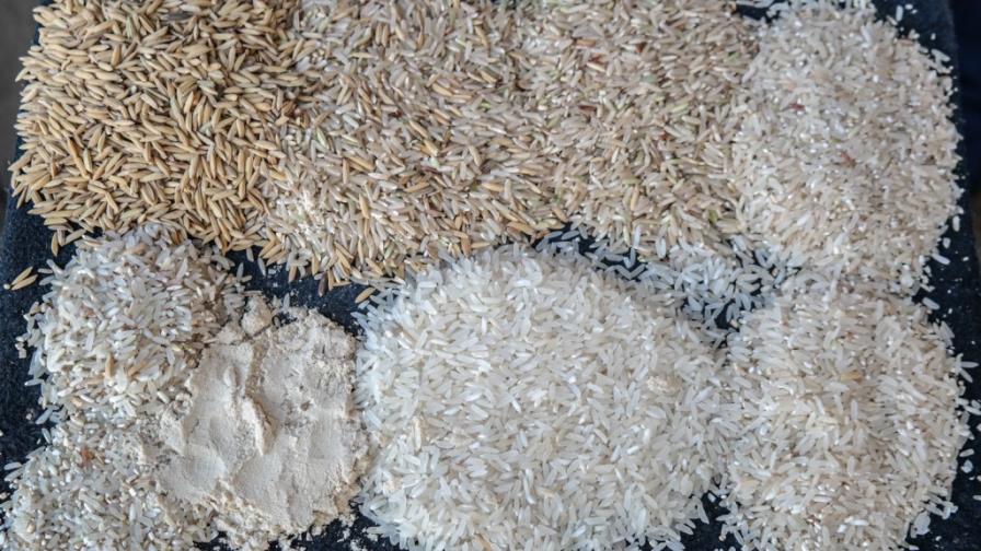 El precio del arroz se ha mantenido casi inalterable en ocho años, según las factorías