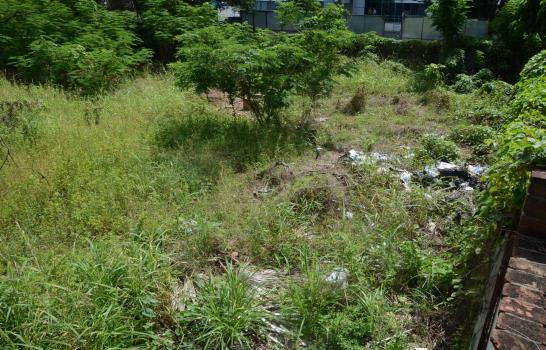 La paz voló de Los Robles en residencial  La Julia de la Capital