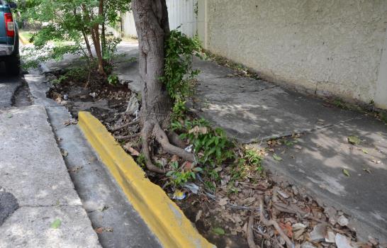 La paz voló de Los Robles en residencial  La Julia de la Capital