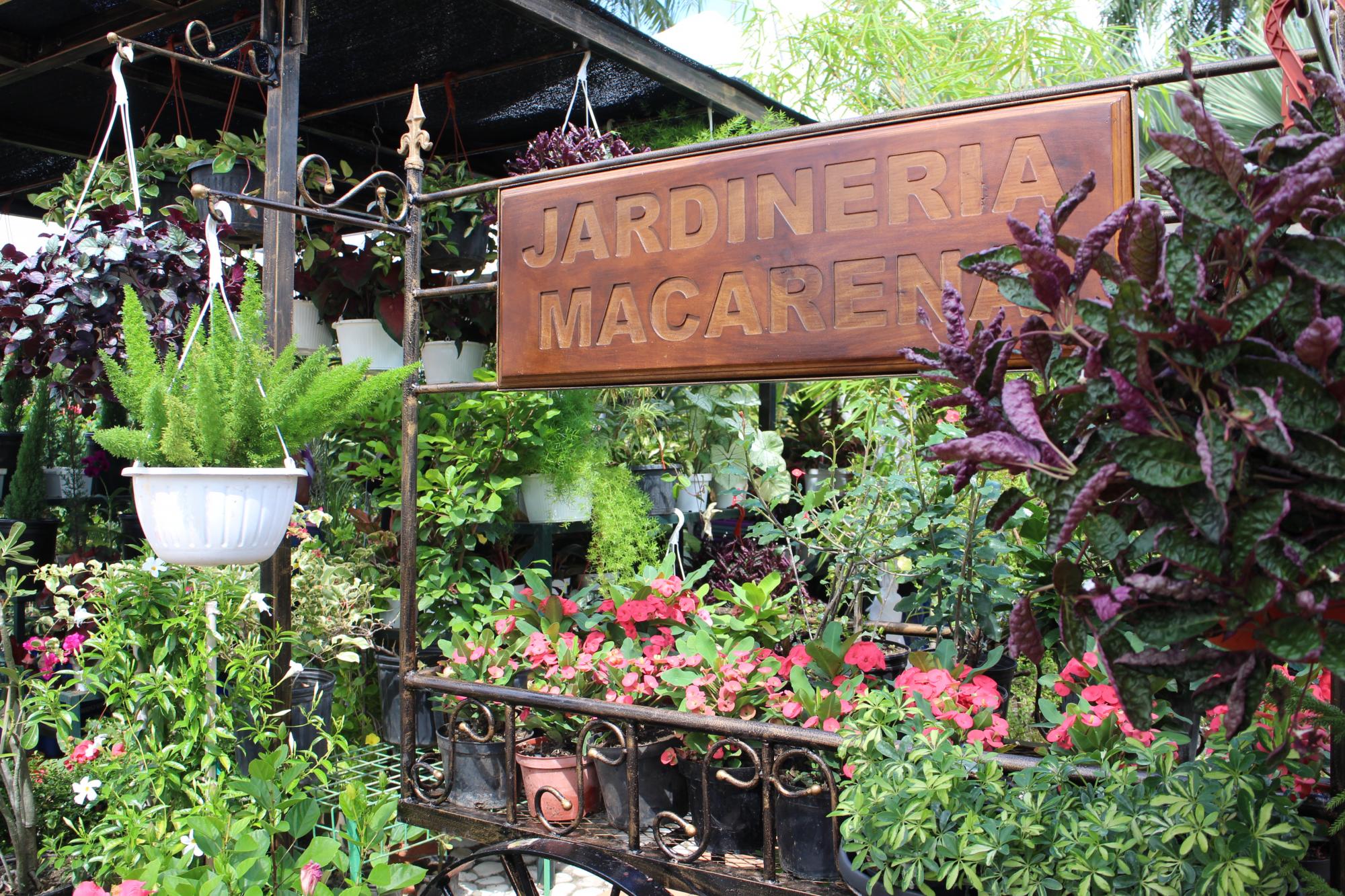 Decenas de jardinerías ofertan sus flores en el Botánico. 