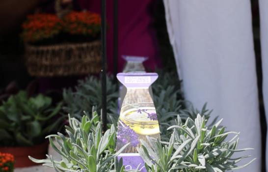 Este fin de semana el Botánico acoge el Festival Nacional de Flores