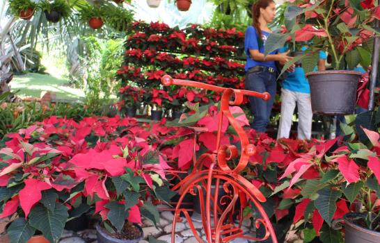 Este fin de semana el Botánico acoge el Festival Nacional de Flores