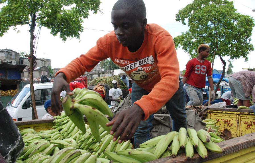 Precios de los plátanos siguen caros en el Mercado Nuevo