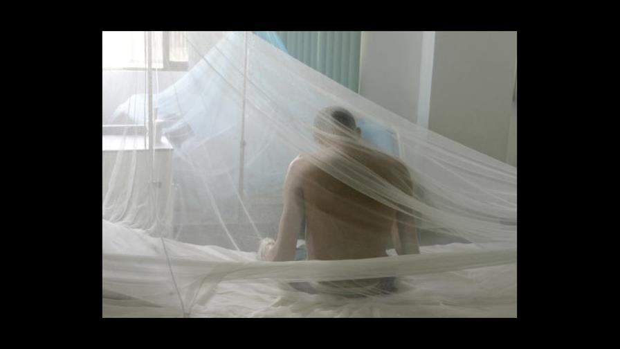 Muertes por dengue se elevan a 116 Muertes por dengue se elevan a 116