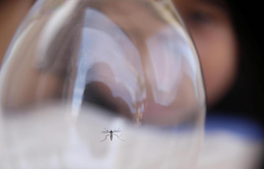 Salud Pública confirma 78 muertos por dengue, evalúa 13 casos y descarta 25 