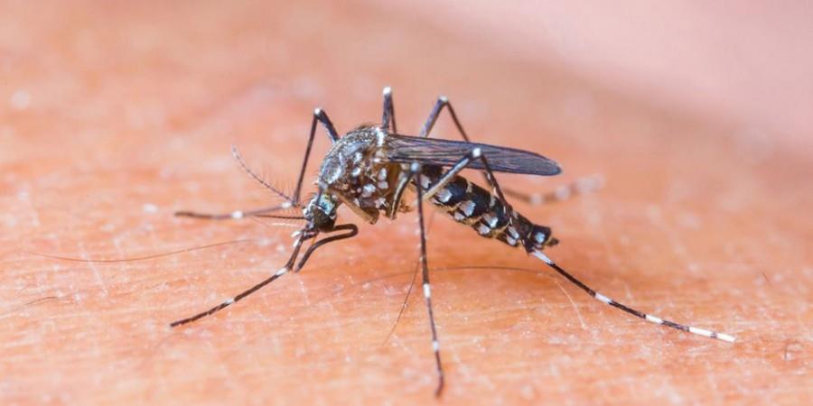 Ministerio de Salud asegura en República Dominicana no hay Zika