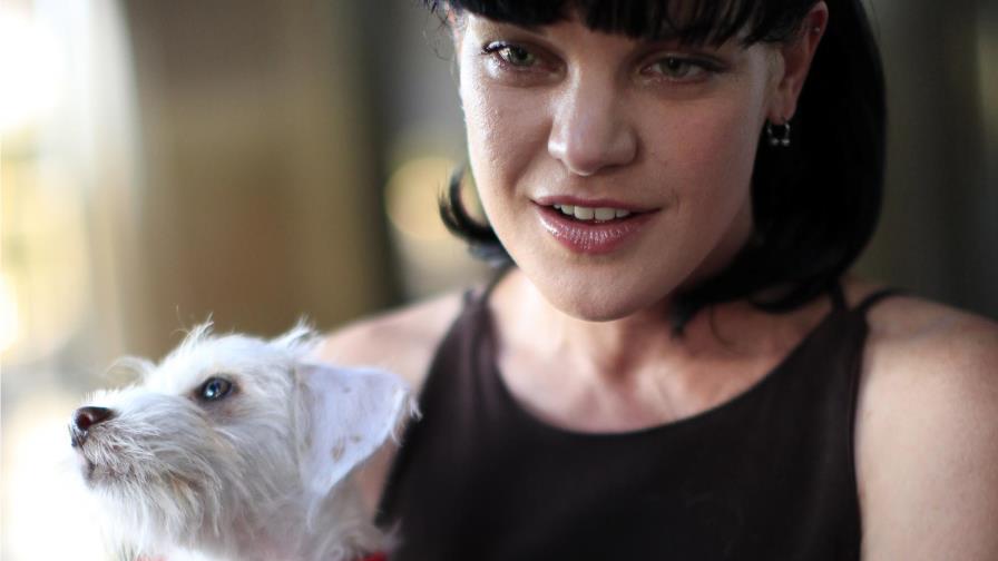 Hombre golpea a actriz de NCIS cerca de su casa en Hollywood 