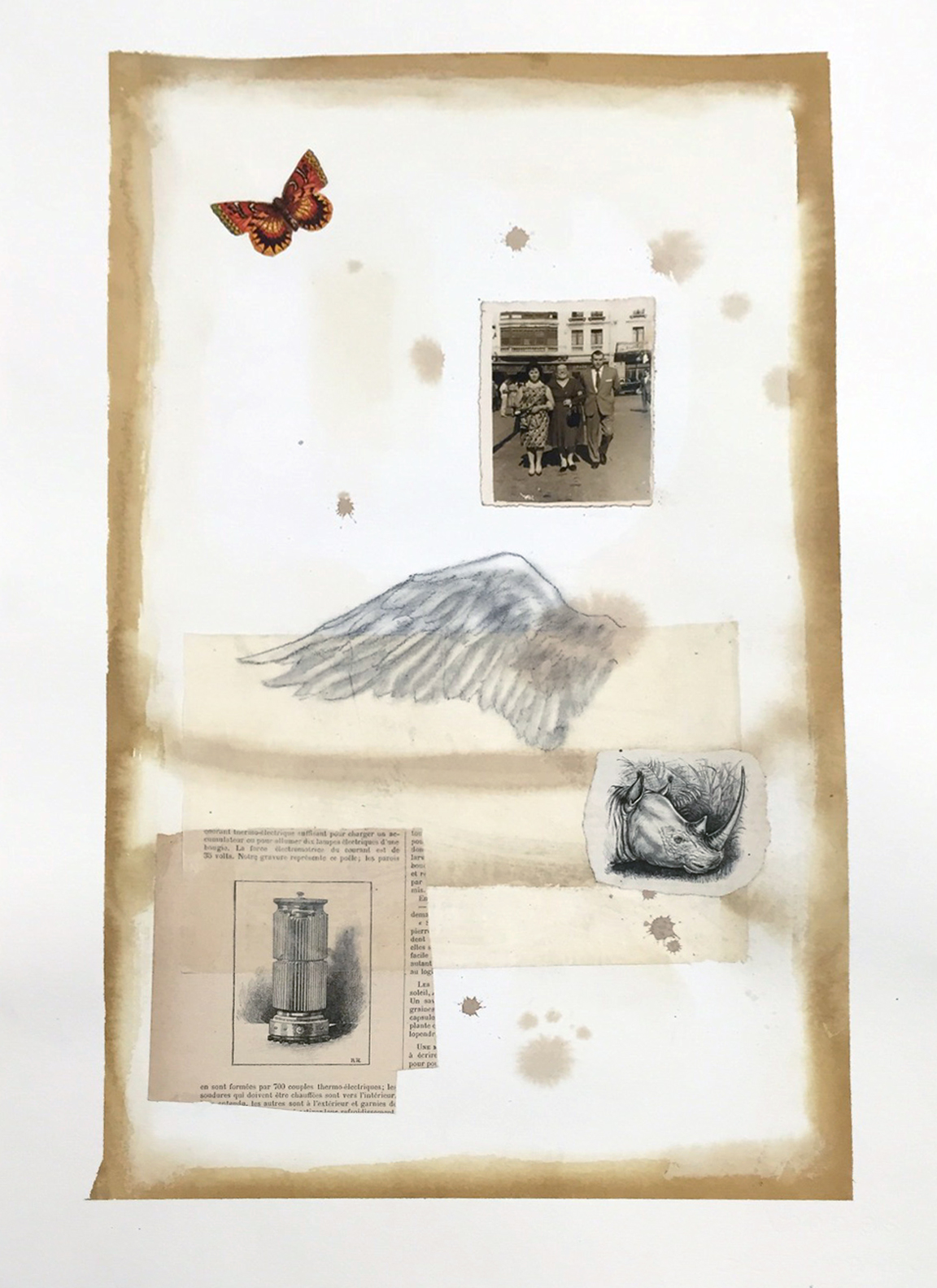 La exposición muestra un universo simbólico plagado de imágenes contenidas en libros y recortes de textos antiguos