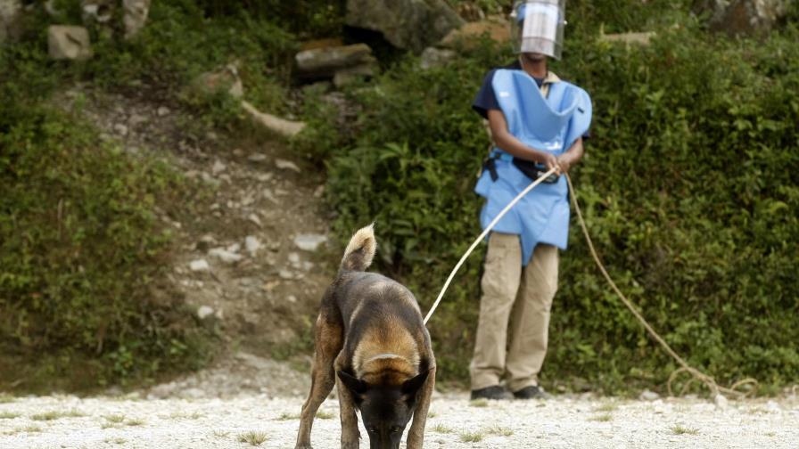 ONU ve notable mejora en situación humanitaria Colombia con proceso de paz