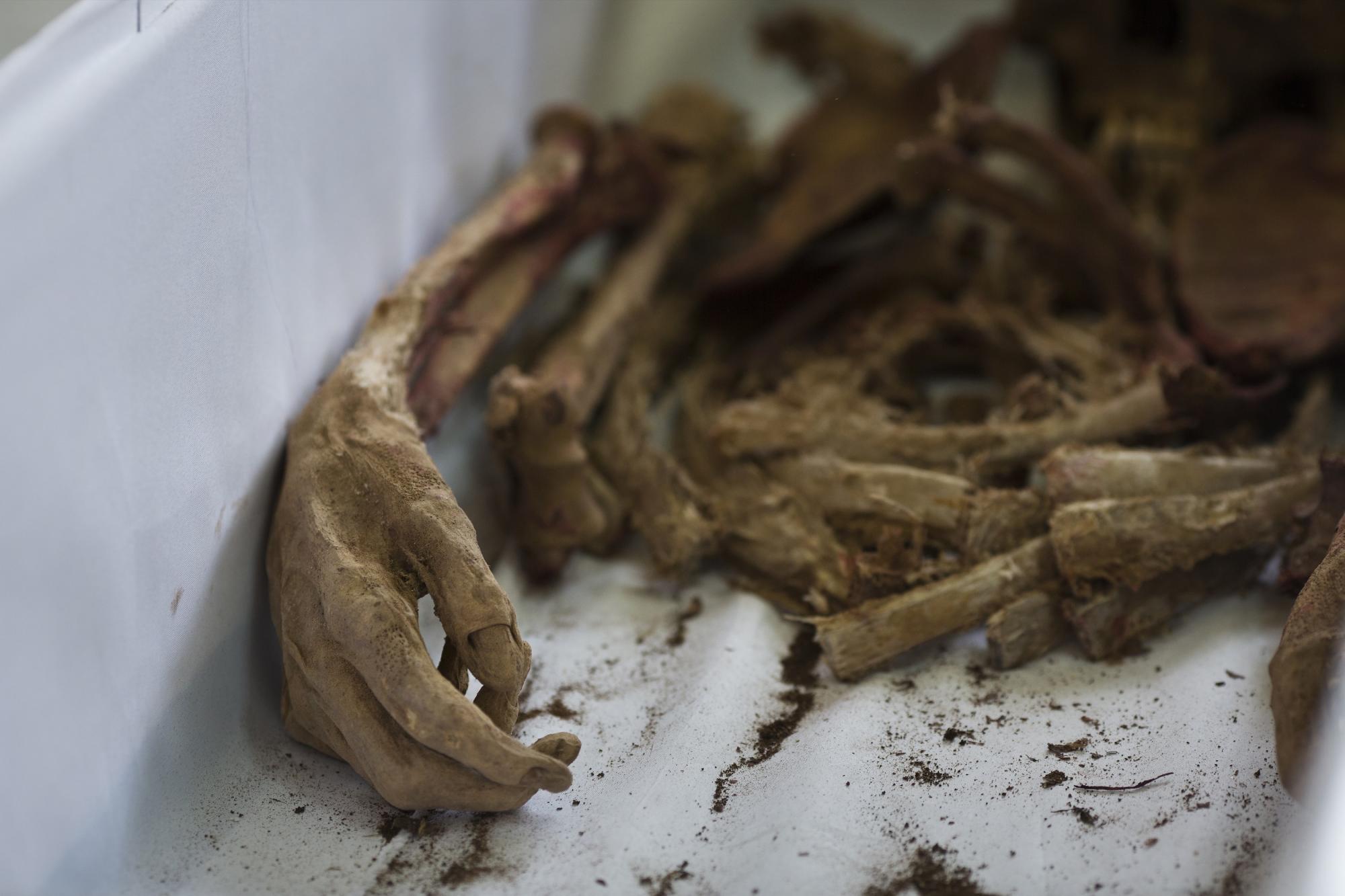 Esta imagen, tomada el 25 de noviembre de 2015, muestra la mano momificada de Lourdes Tierres Torre, víctima de una masacre de Sendero Luminoso en 1992, en Valle Esmeralda de Huayao, Perú. El cuerpo de Tierres había sido arrojado junto al de otras víctimas a una fosa común justo después de su asesinato, sin un entierro adecuado. 