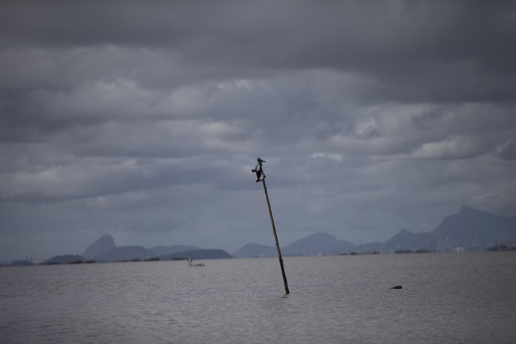 En esta imagen, tomada el 30 de octubre de 2015, un peluche sobre un palo de madera sirve como marcador para la entrada del río Mage, en la bahía de Guanabara, en Río de Janeiro, Brasil. Río ganó la carrera para convertirse en la sede olímpica de 2016 en base a un documento que promería limpiar las vías acuáticas de la ciudad mejorando el saneamiento, algo que se convertiría además en uno de los mayores legados del evento deportivo. Funcionarios brasileños reconocen ahora que esto no se cumplirá.