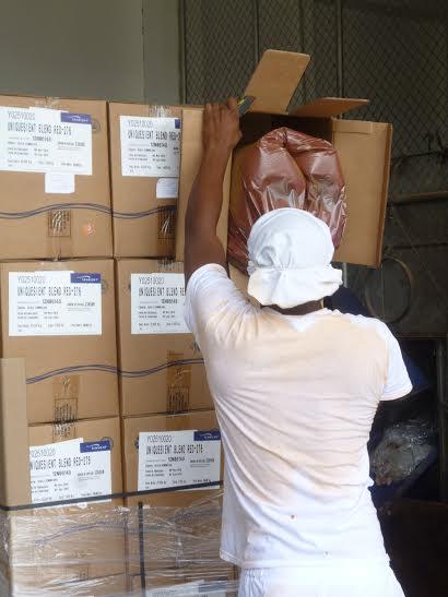 Ministerio de Salud decomisa 1.5 toneladas de Linaza en San Cristóbal