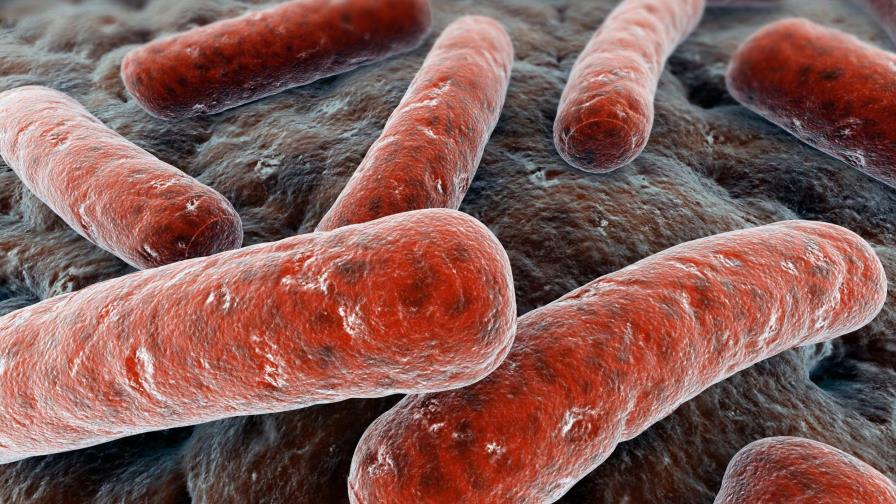 Constatan el origen africano de la tuberculosis