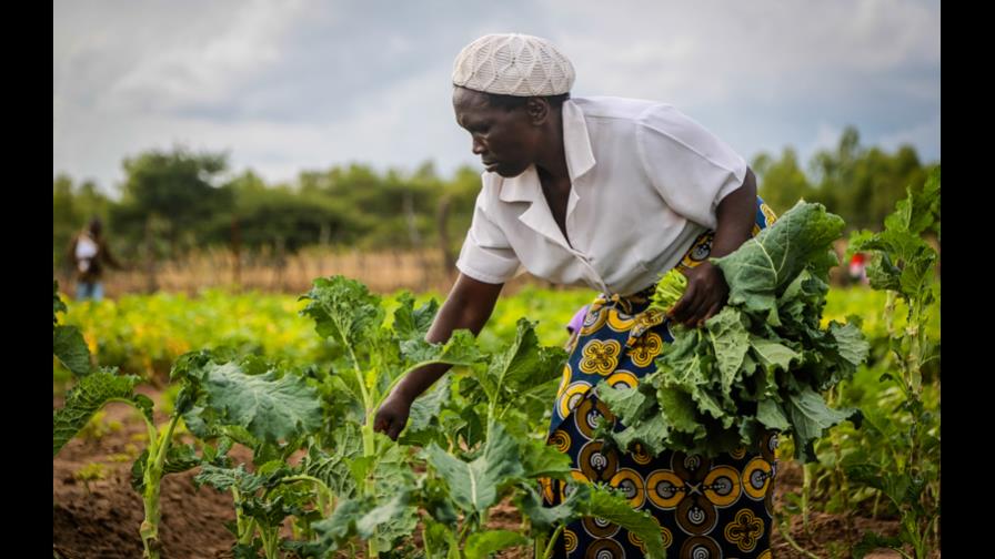 Las mujeres trabajan más que los hombres y ganan un 24% menos Las mujeres trabajan más que los hombres y ganan un 24% menos