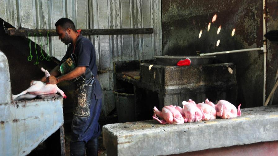 Escasez de pollo afecta a Santiago