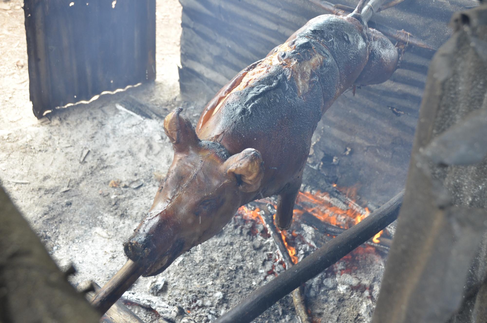 Lechón durante el proceso de asado.