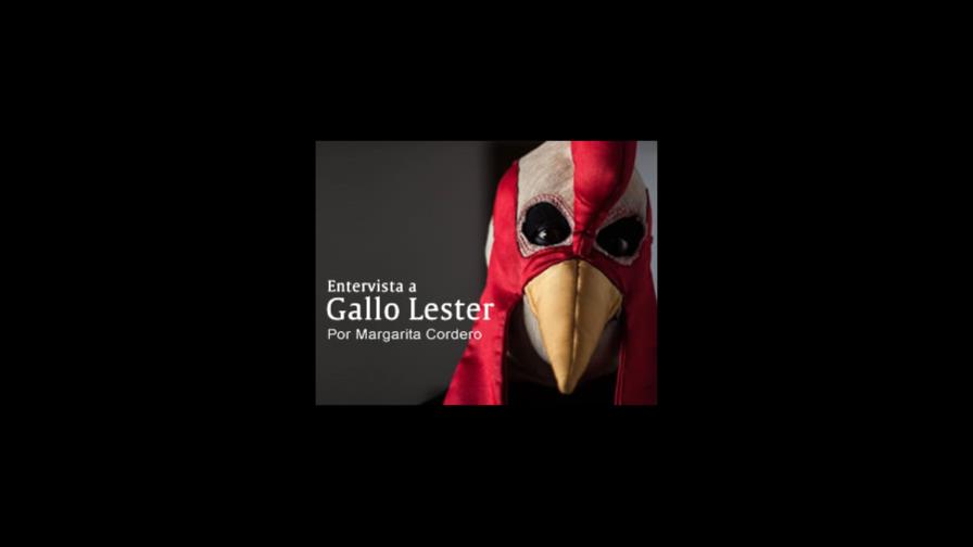 Entervista a Gallo Lester