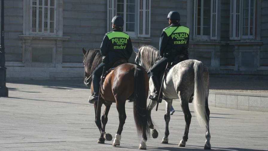 Desarticulan dos bandas que introducían ilegalmente dominicanos en España Desarticulan dos bandas que introducían ilegalmente dominicanos en España