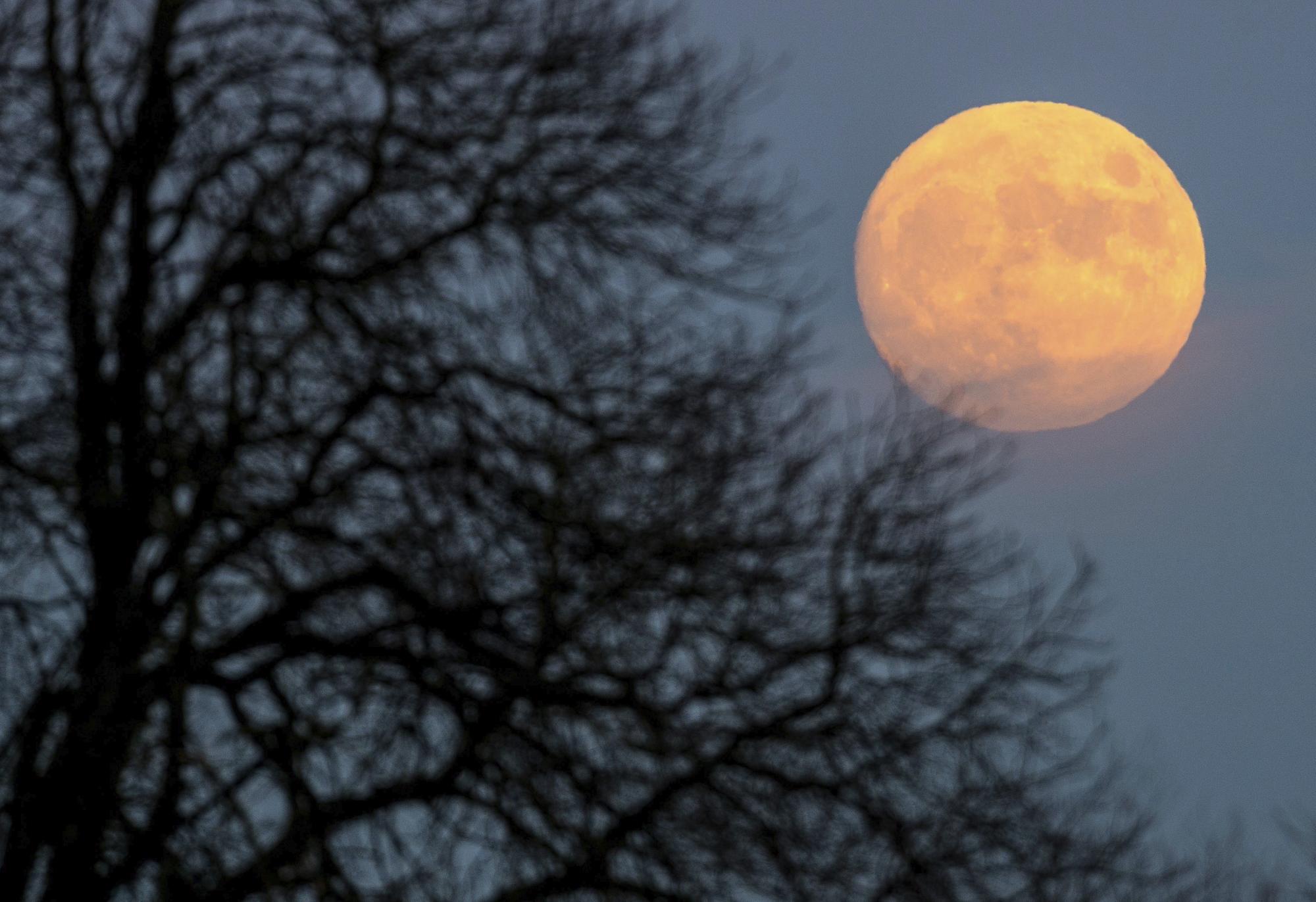 La luna casi en su fase llena ilumina el cielo de Sieversdorf, Alemania, la Nochebuena del 24 de diciembre de 2015. El día de Navidad coincidirá este año con la luna en fase llena por primera vez desde hace 38 años, acontecimiento que no volverá a producirse hasta el año 2034.