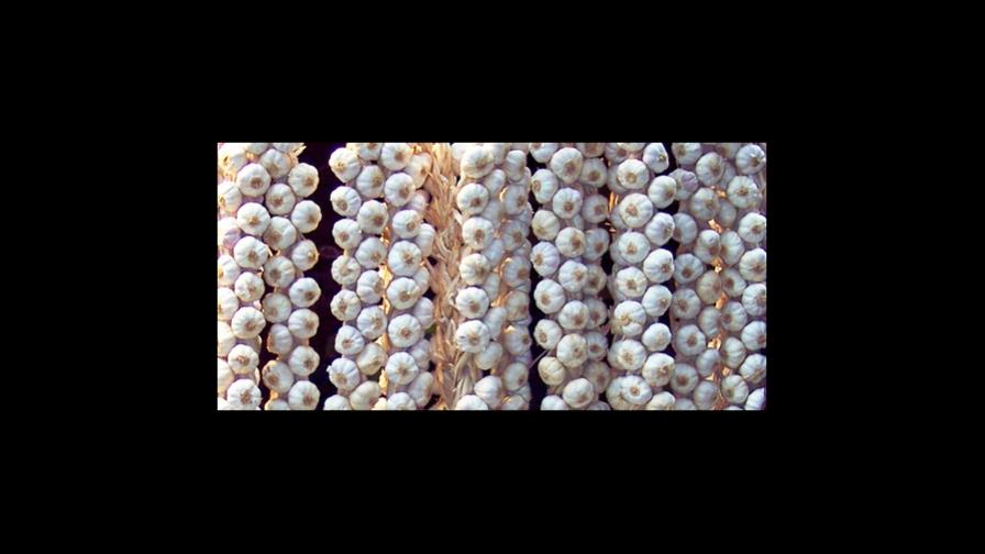 Comerciantes dicen que bajaron algunos productos agro Comerciantes dicen que bajaron algunos productos agro