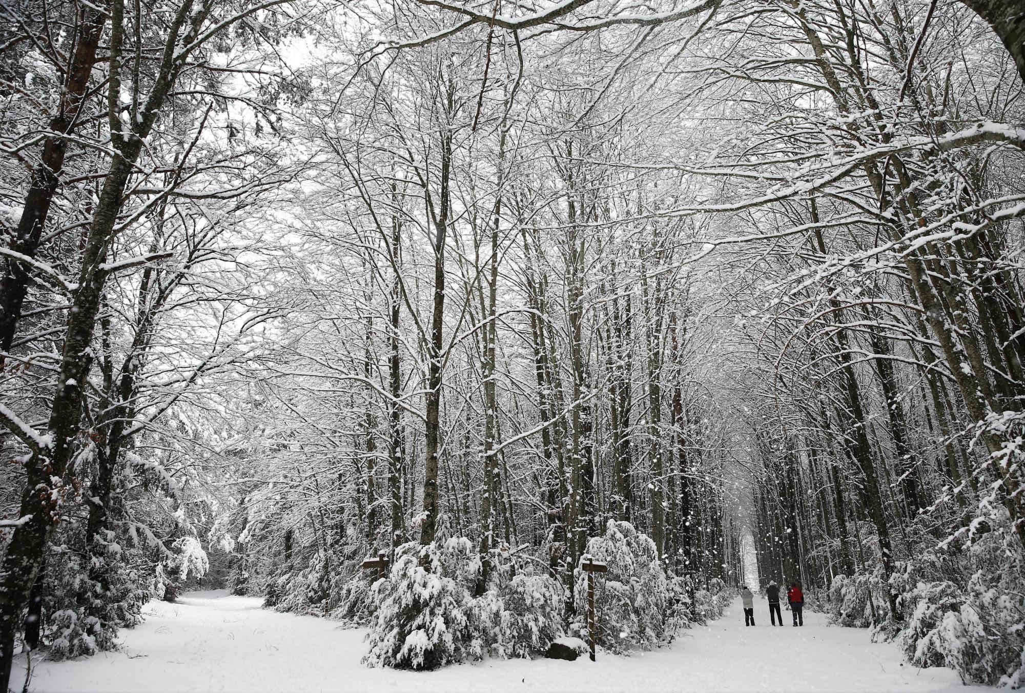 Nieve en Navarra Nieve en Navarra