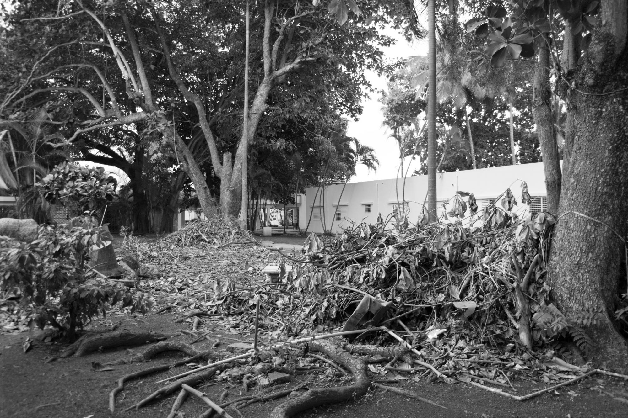 Parte de las remodelaciones del centro.