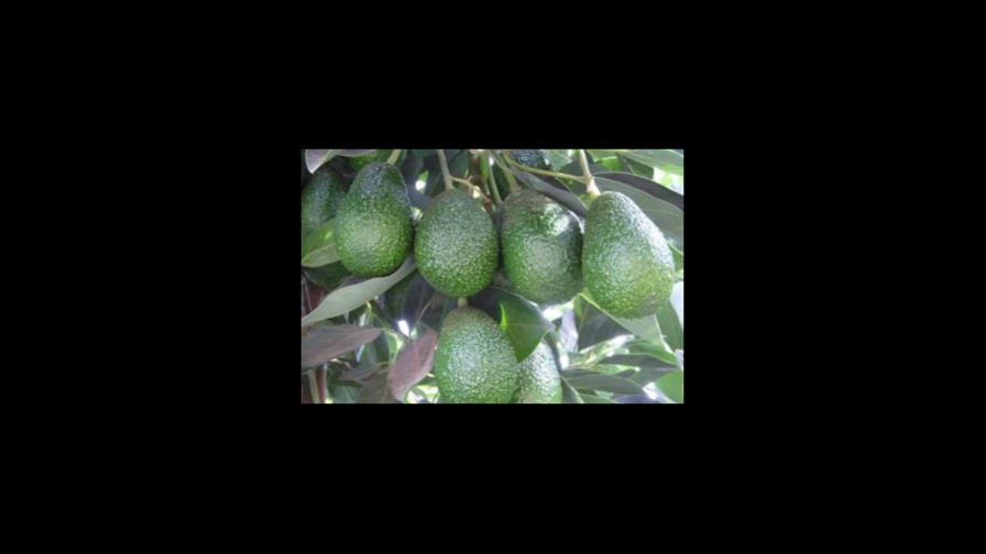 Estados Unidos levantó la veda de importación de productos a 24 provincias Estados Unidos levantó la veda de importación de productos a 24 provincias