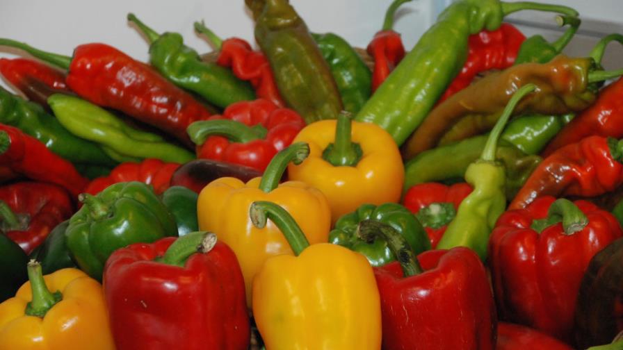 Estos son los productos a los que le levantaron la veda de exportación hacia EE.UU. Estos son los productos a los que le levantaron la veda de exportación hacia EE.UU.