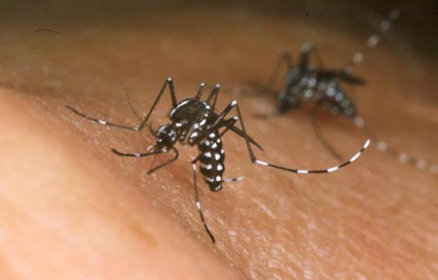 Salud Pública está a la expectativa de los  resultados sobre el Zikavirus 