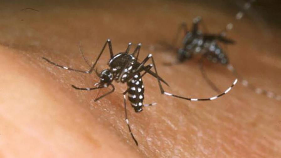 Salud Pública está a la expectativa de los  resultados sobre el Zikavirus 