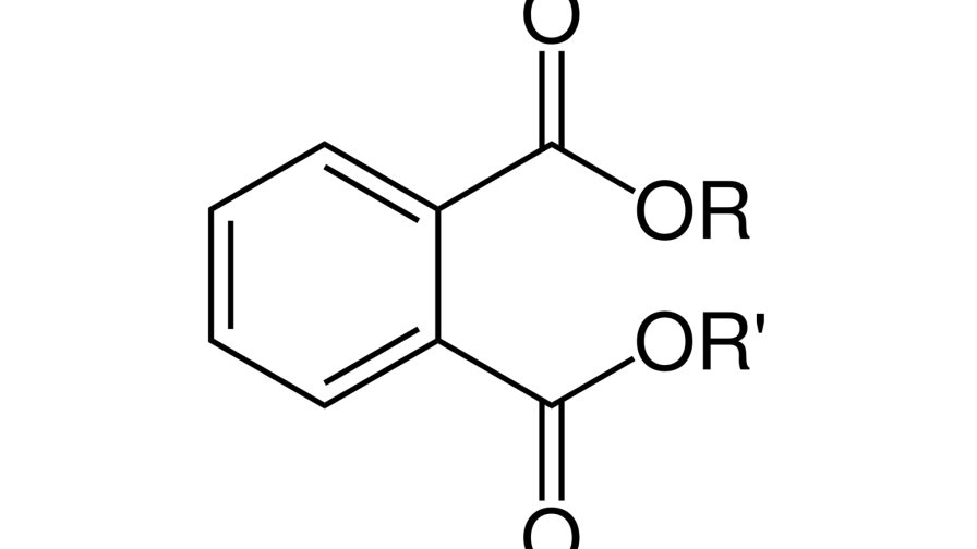 Estudio comprueba que los químicos plastificantes contribuyen aumento de peso