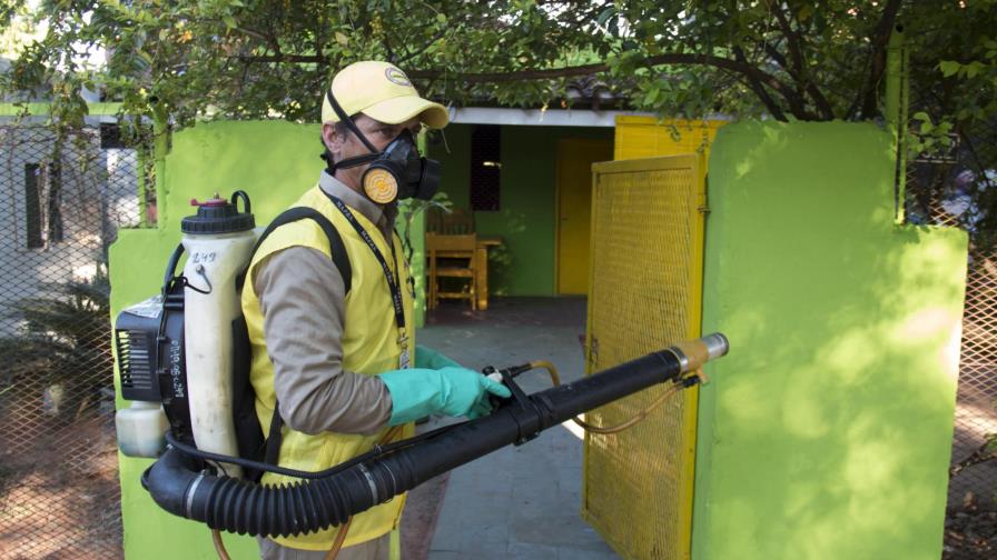 El virus zika ya está en prácticamente toda América Latina y el Caribe (OPS)