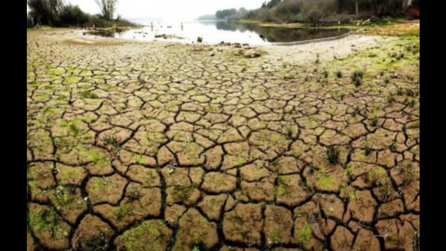 La actividad humana agrava el cambio climático y las altas temperaturas