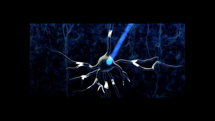 Impulsores de optogenética premiados por revolucionar el estudio del cerebro