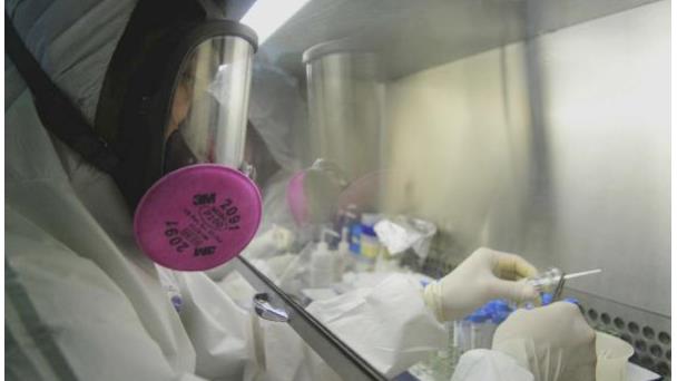 La gripe estacional H1N1 podría ser descendiente de la cepa pandémica de 1918