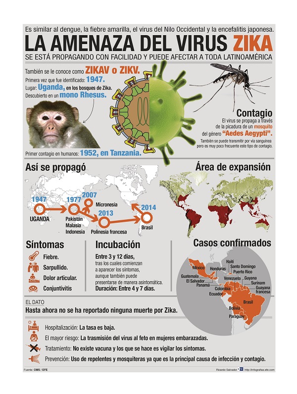 Infografía