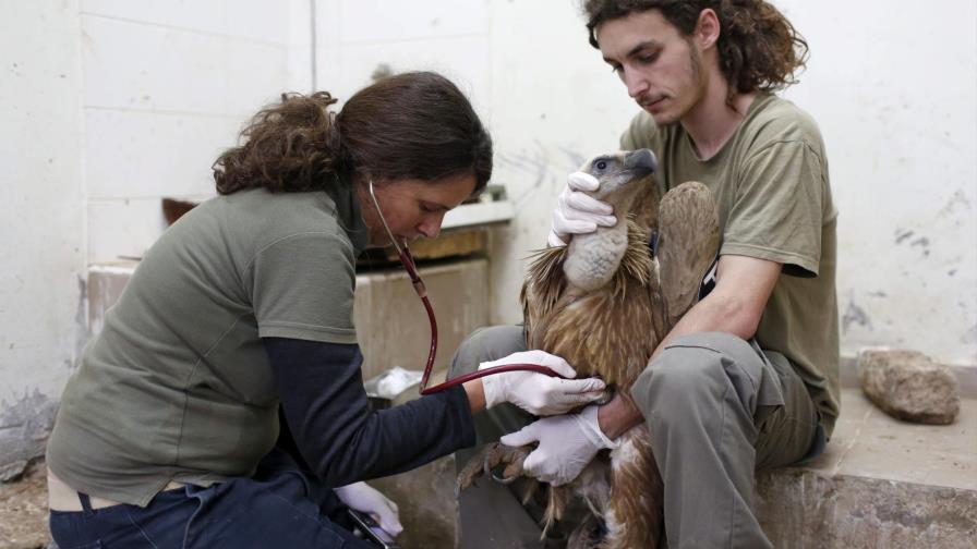 Encuentran un dispositivo de espionaje israelí en el sur del Líbano