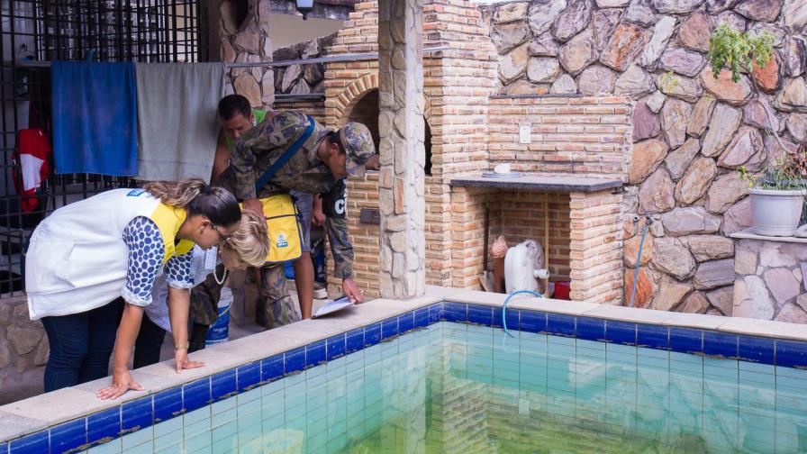 Costa Rica utiliza bacteria para atacar mosquito que trasmite el zika