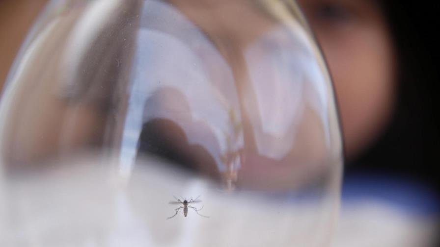 La súbita notoriedad de la selva ugandesa donde se identificó el virus del Zika