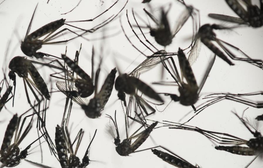 Brasil comparte muy pocas muestras de zika 