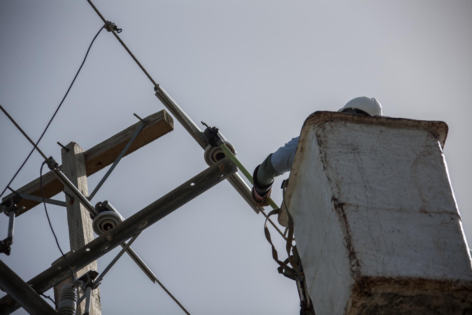 Un trabajador coloca uno de los protectores en uno de los postes de tendido eléctrico.