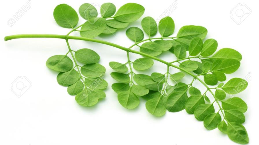 El uso de hierbas medicinales durante la quimioterapia afecta su eficacia 