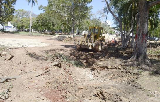 Se inicia el derribo de árboles en Plaza de la Cultura para construir un parqueo
